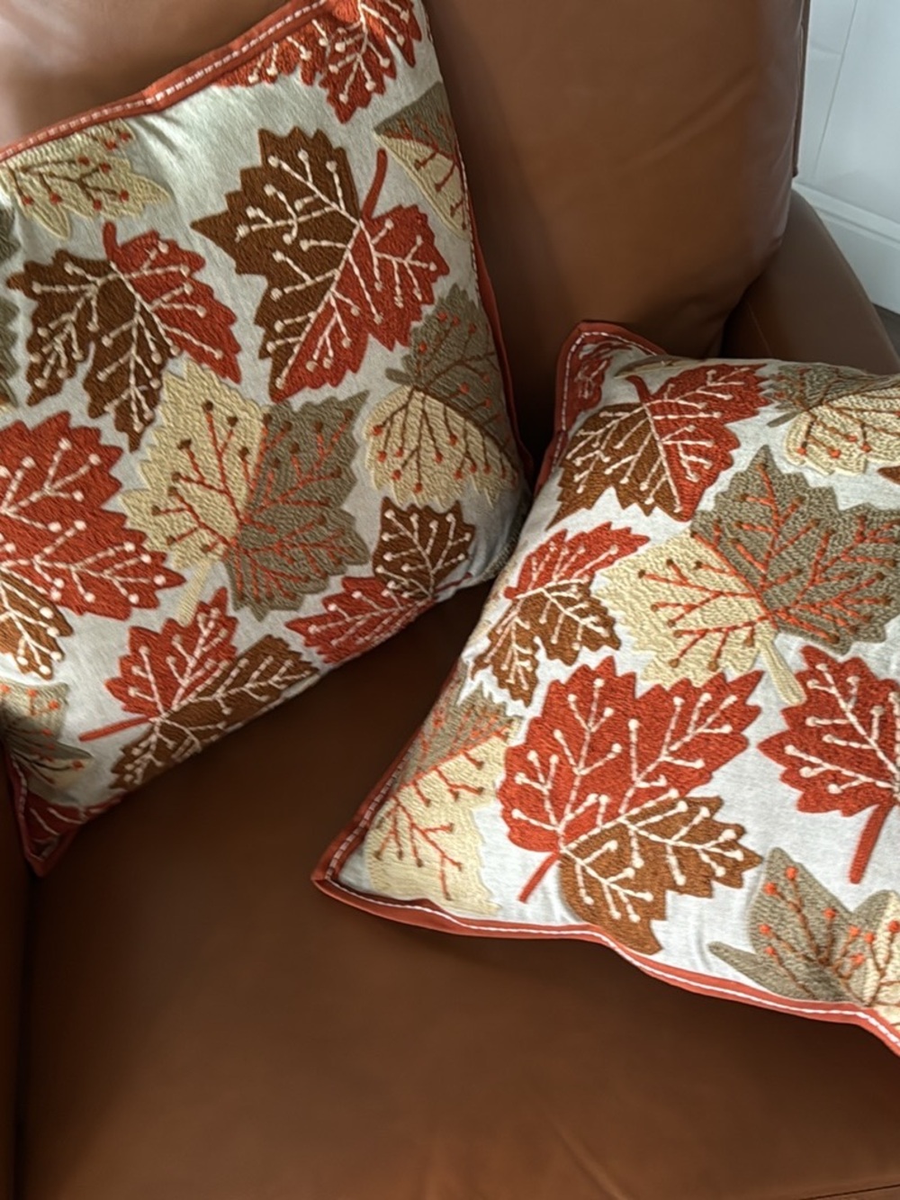 Two beautiful fall pillows
